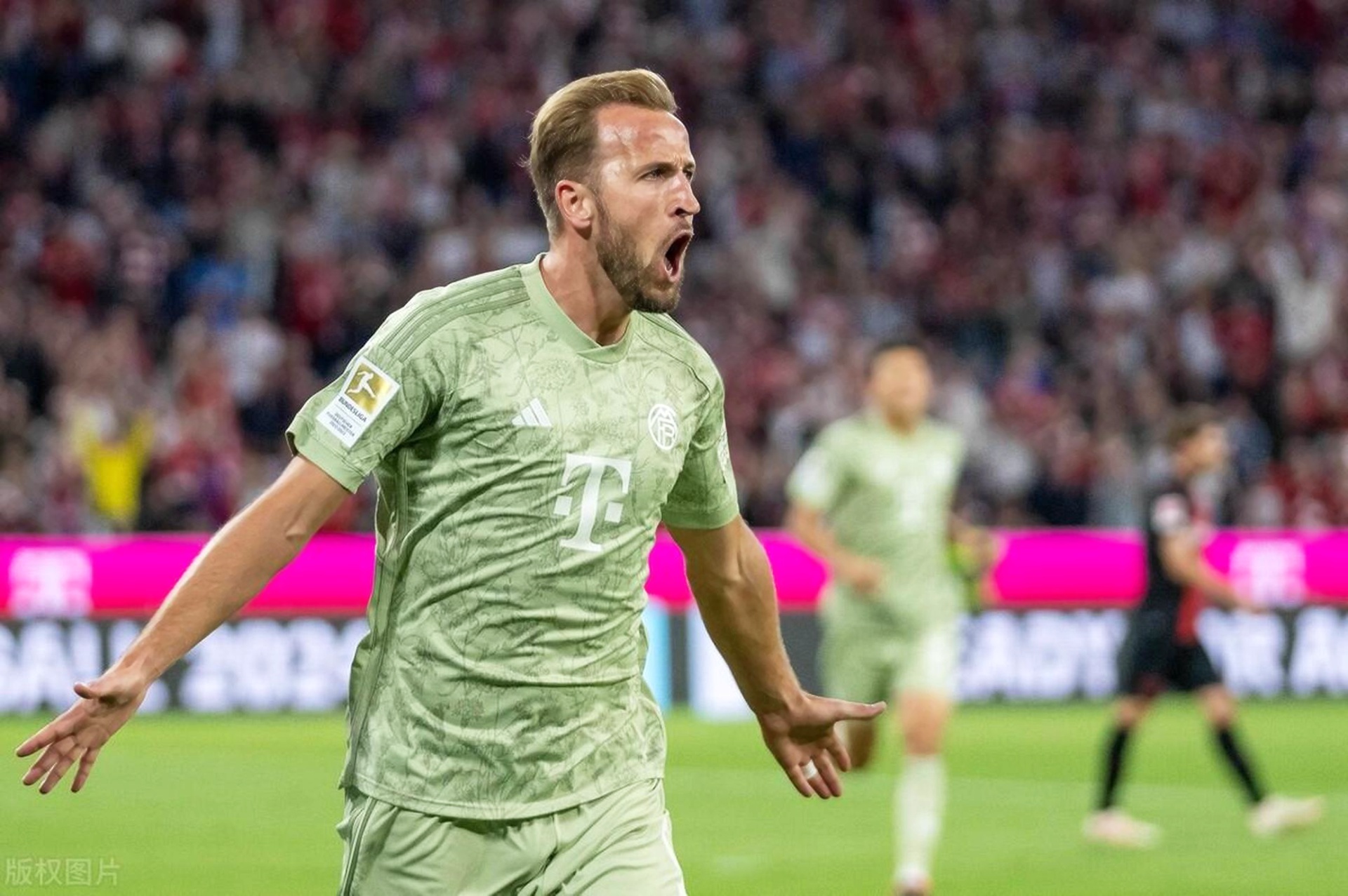 NG娱乐-关于凯恩赛事官方发布连败新规,塞尔维亚队争议不断!的信息